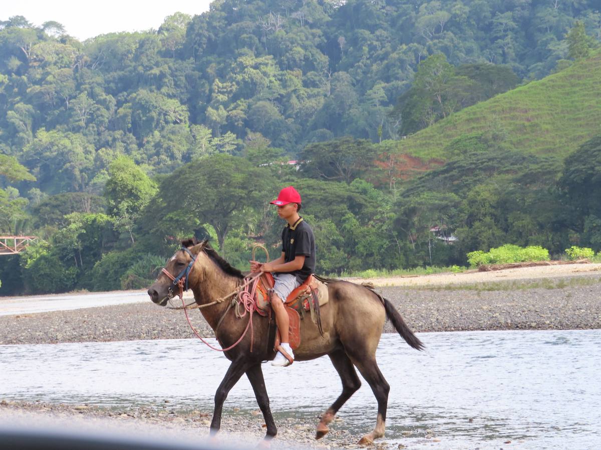 Horseback riding through the Costa Rican jungle at Finca Tulin